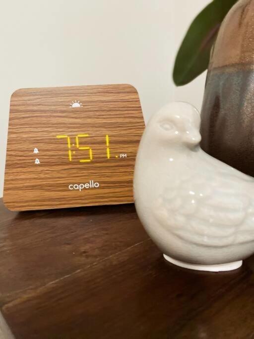 The Nest In 5 Points, Downtown, Walk To Everything 헌츠빌 외부 사진